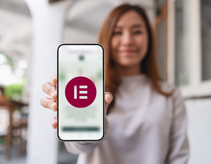 Take full control after the build with Elementor Page Builder