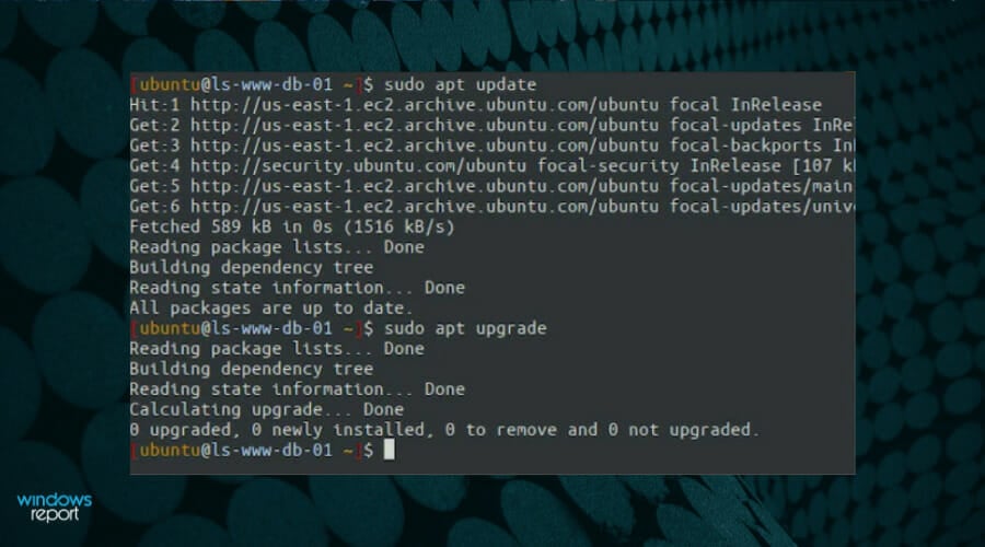 Install NGINX