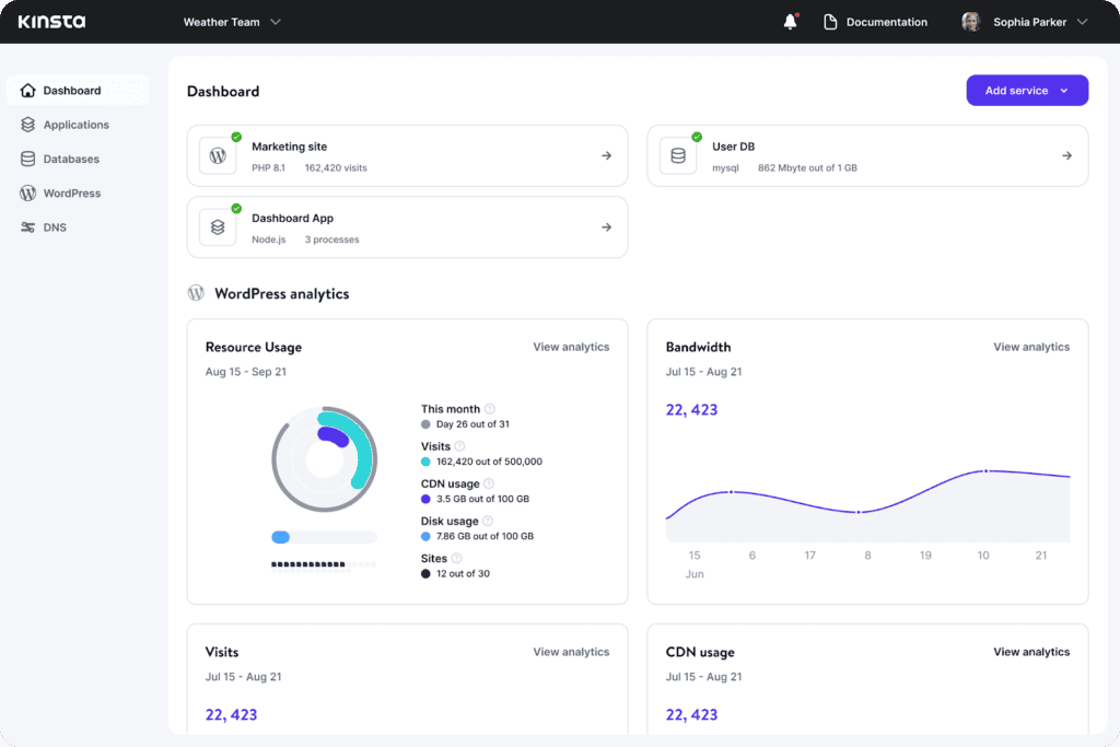 Kinsta dashboard
