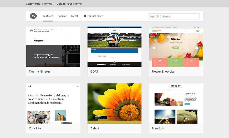 Pick a WordPress theme for your website