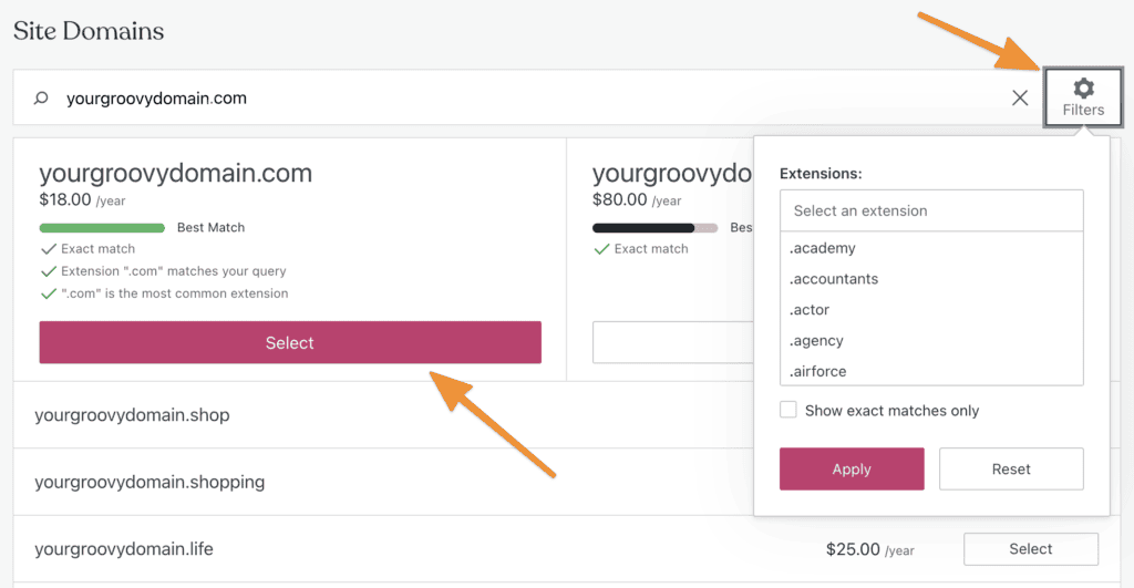 Chose a domain name and know hoe to create a WordPress website 