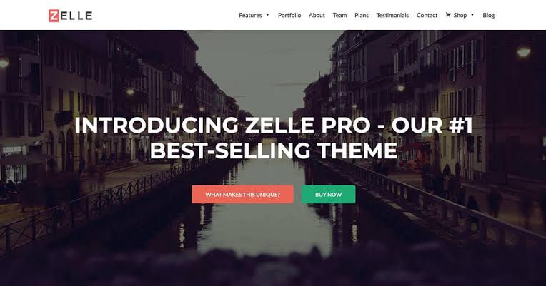 Zelle Pro - free woocommerce theme