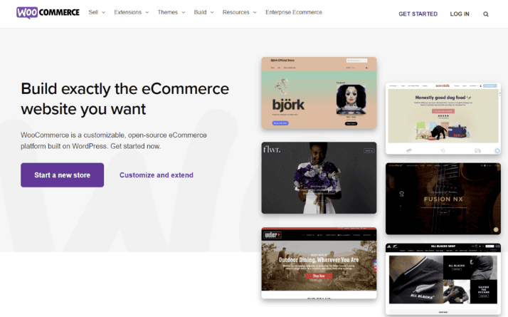 Install plugins or extensions to your store 