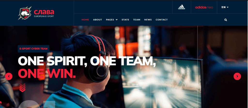 Slava landing page theme