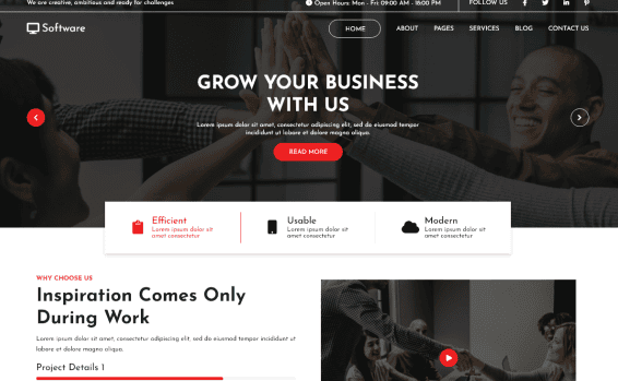 software-company-elementor-wordpress-theme