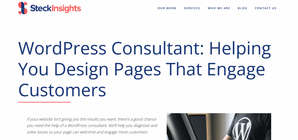 steckinsights-wordpress-consultant