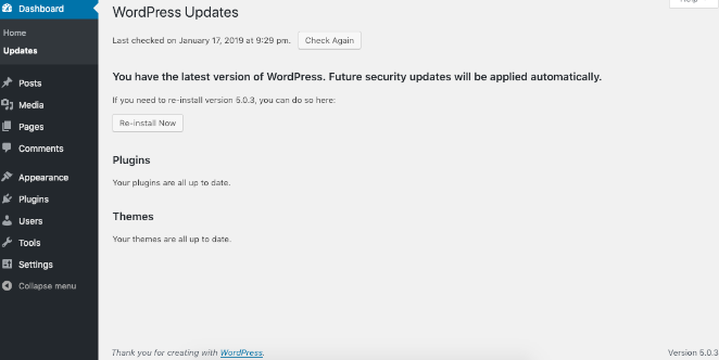 install wordpress updates to fix slow wordpress