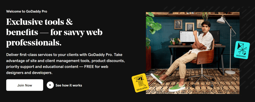 GoDaddy Pro