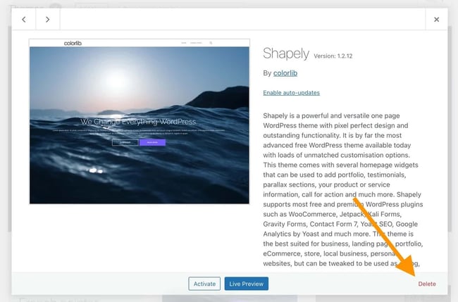 Deleting a WordPress Theme