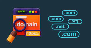 domain name