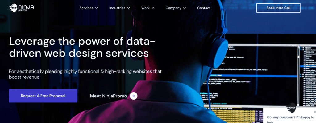 Ninja-Promo-b2b-web-design-agency