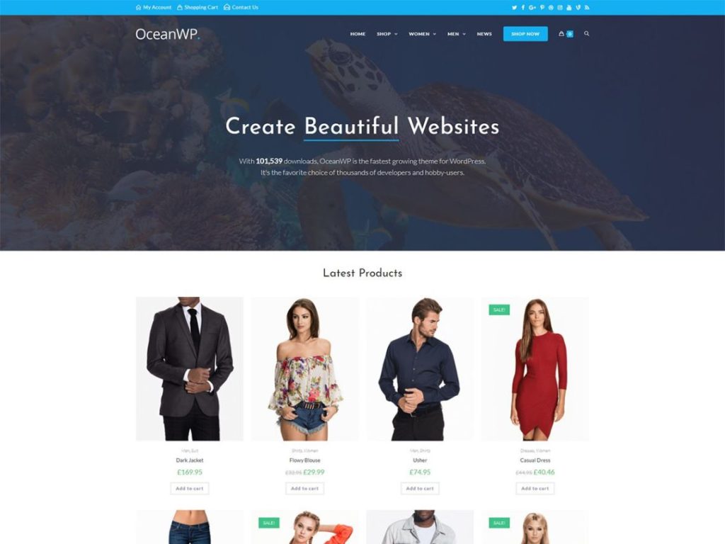 OceanWP-theme-for-elementor