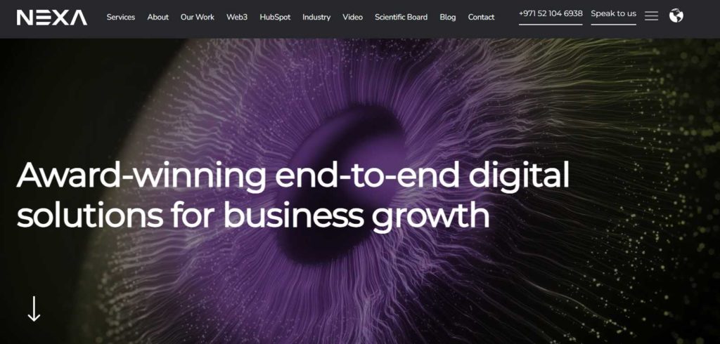 best-web-design-agency-in-dubai-Nexa