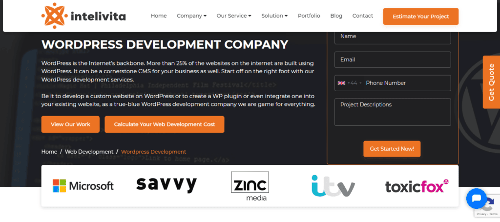 intelivita-wordpress-development-services