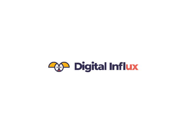 digital-influx-case-study