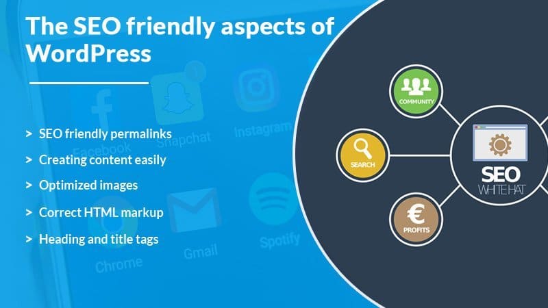 Versoly vs WordPress