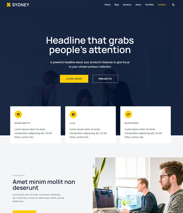 Sydney Pro themes for small businesses
