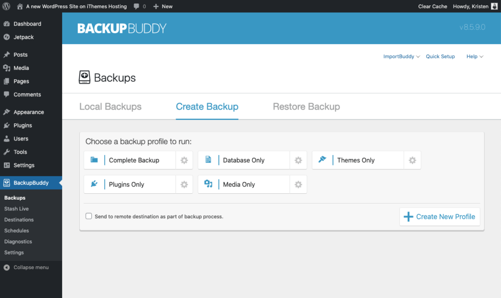 WordPress website maintenance costs - backup and restore 
