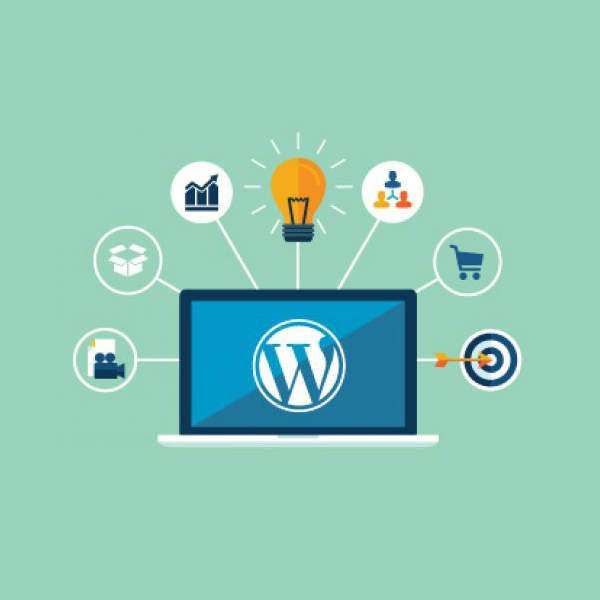 Versoly vs WordPress
