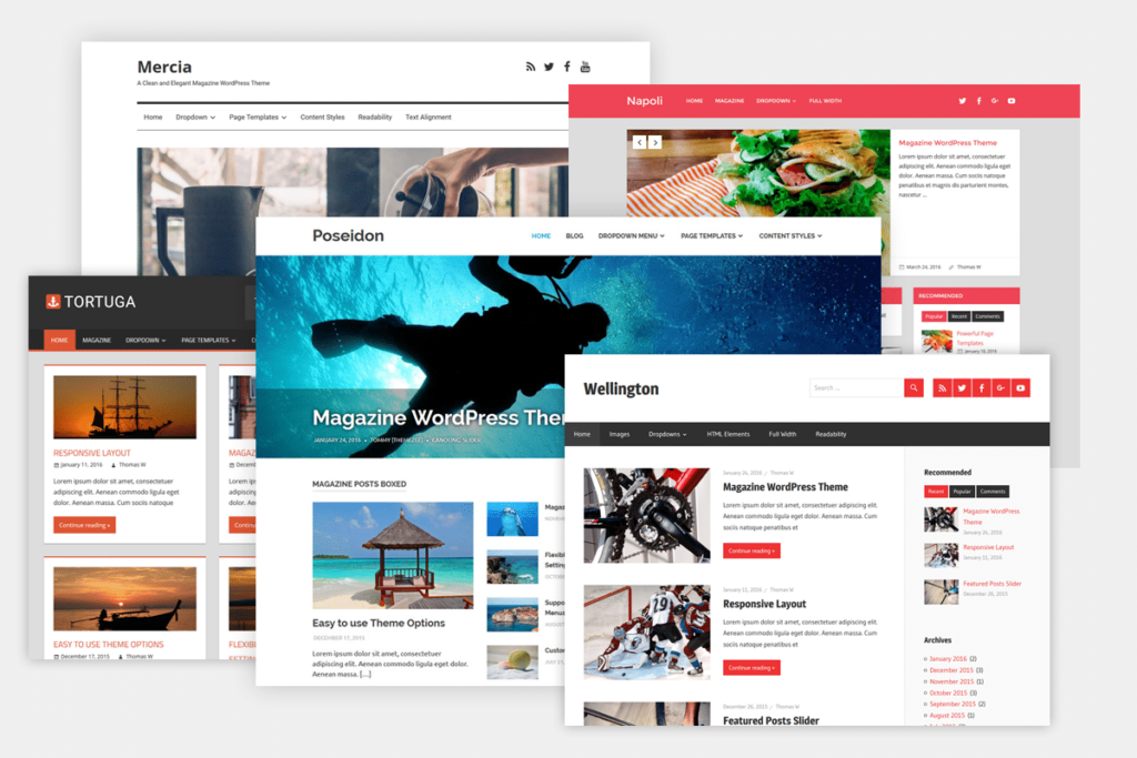WordPress fatal error for theme management