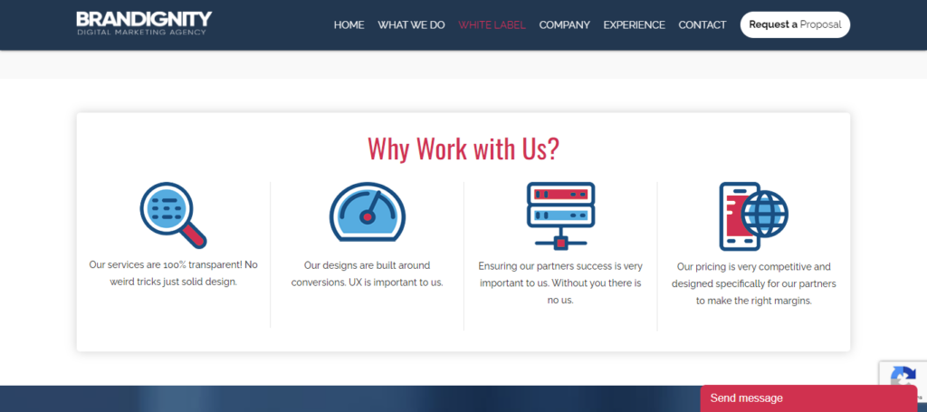 brandignity-white-label-web-design-services