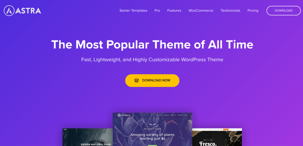 astra- Best Startup Websites & Designs in WordPress