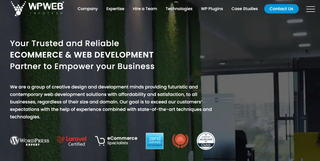 WordPress-development-agency- WPWeb Infotech