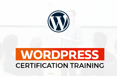 WordPress Developer