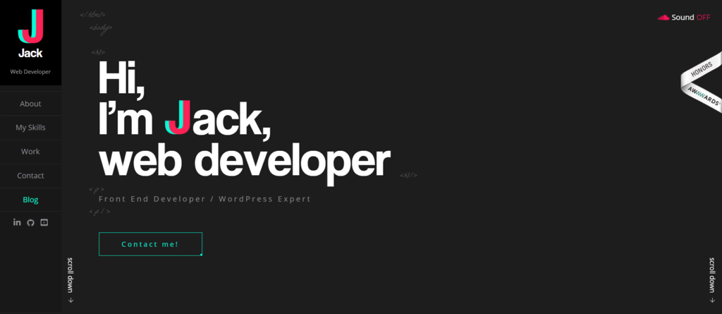 WordPress Developer