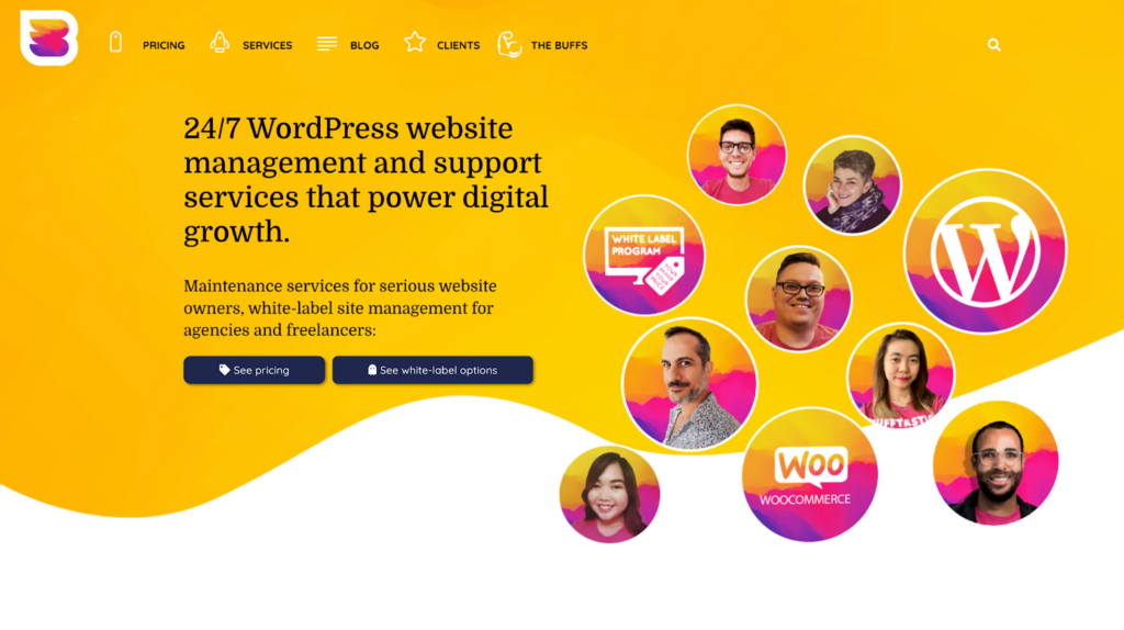 WordPress Customer Support