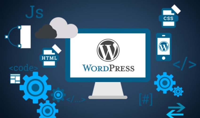 WordPress Developer