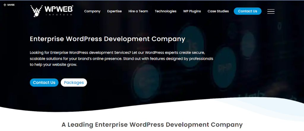 WPinfotech enterprise development