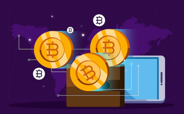 bitcoin-wallets