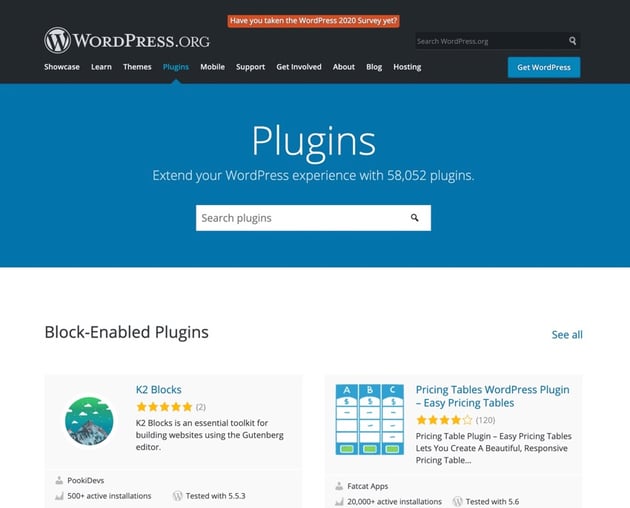  Broken WordPress Website