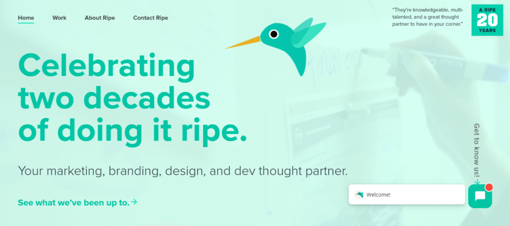 ripemedia-web-design-agencies-usa