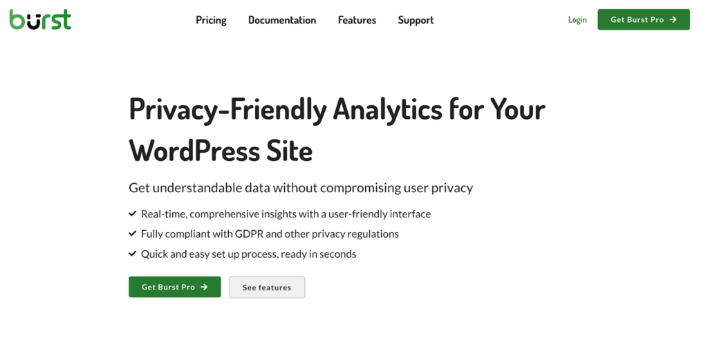 Burst Statitics_Google Analytics Alternatives