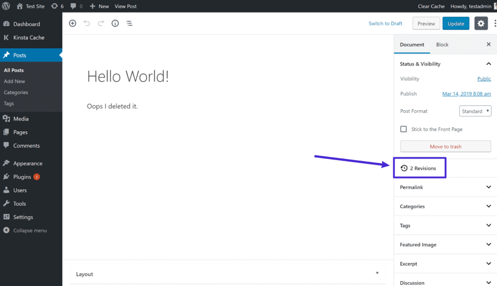 How to Undo Changes in WordPress