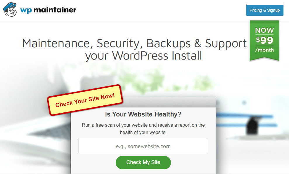 WP Maintainer