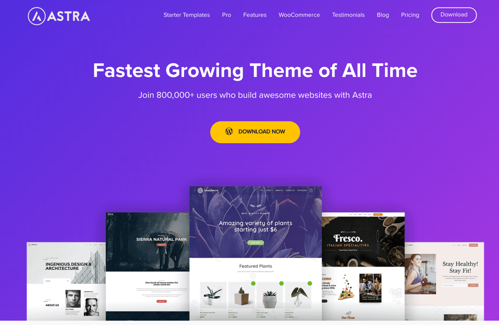 Astra_WordPress Blog Themes