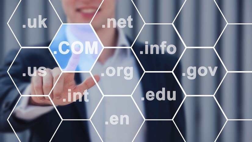 auction-site-domain-name