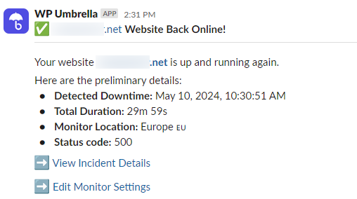 wp-umbrella-wordpress-error-logs-online