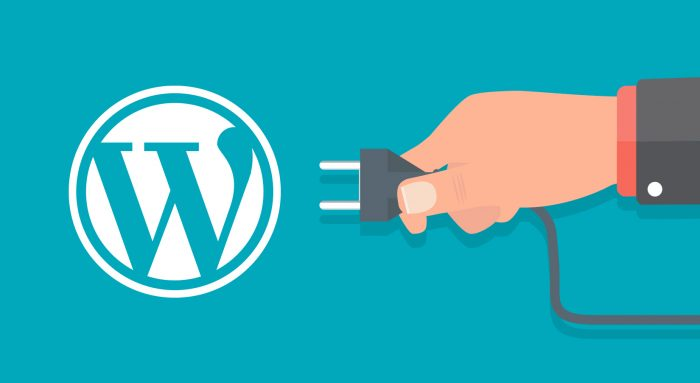 Rank Your Plugin to the Top