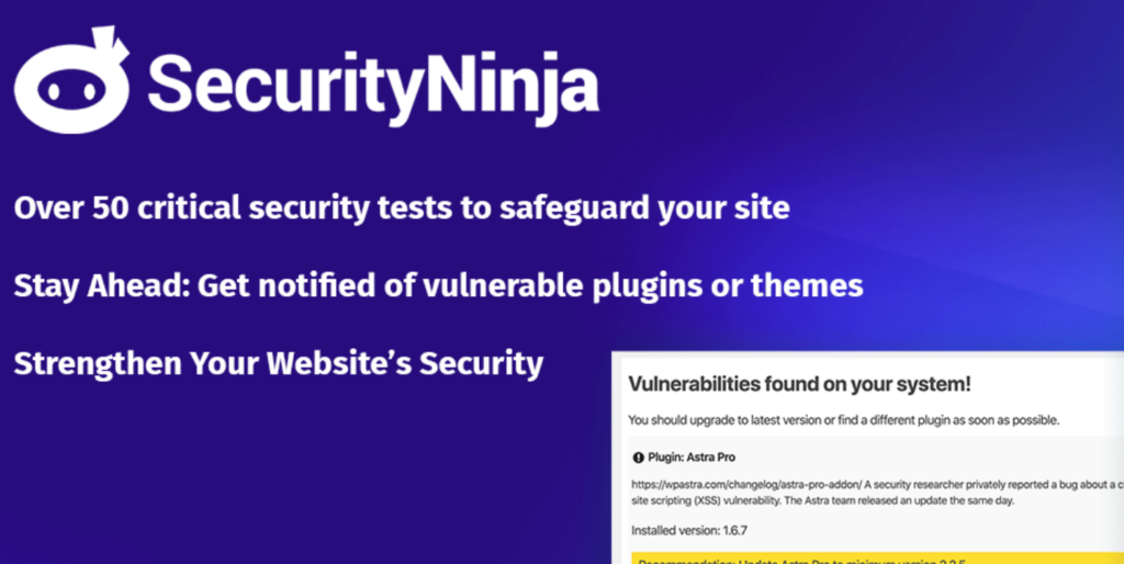 security-ninja