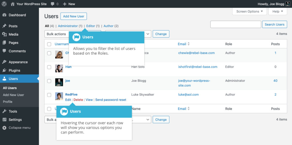 New user accounts for Temporary Admin Access