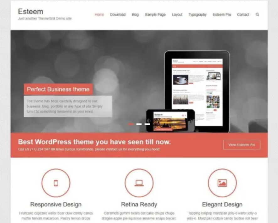 content-marketing-for-WordPress