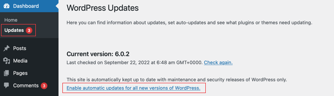 updating wordpress automatically