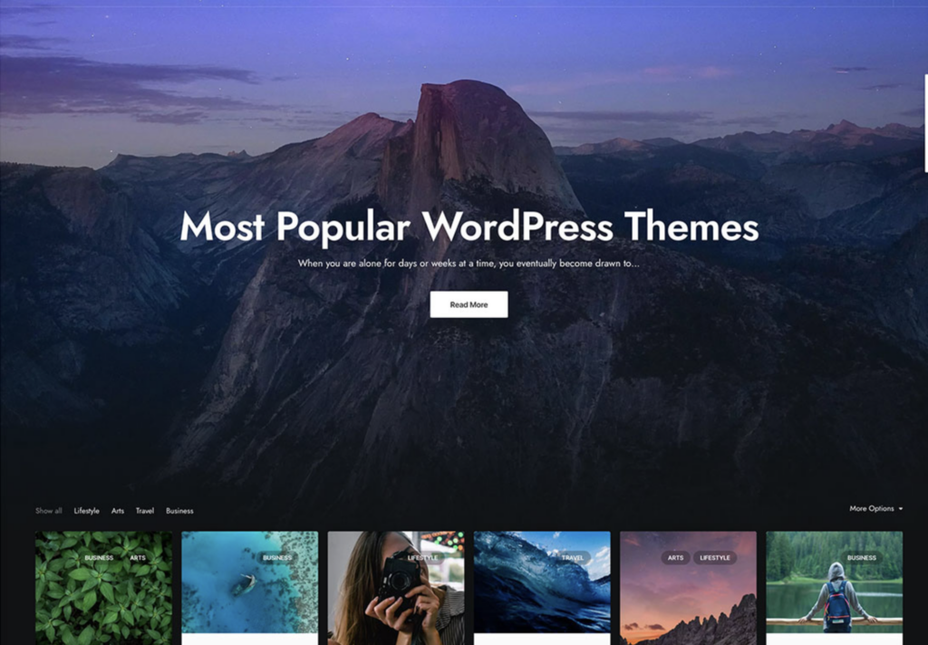 WordPress-theme-with-built-in-background-options