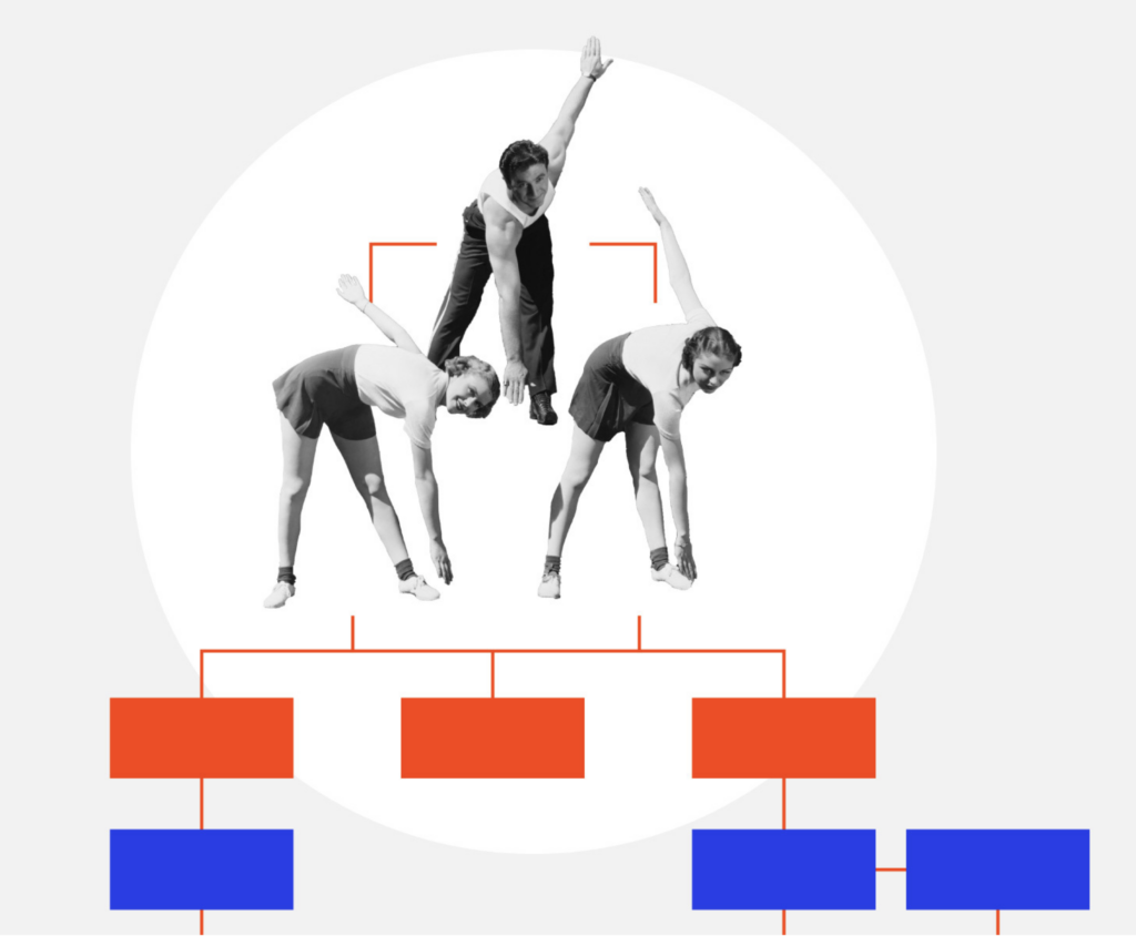 web-project-flexibility