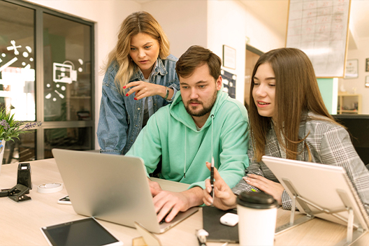 custom-directory-websites