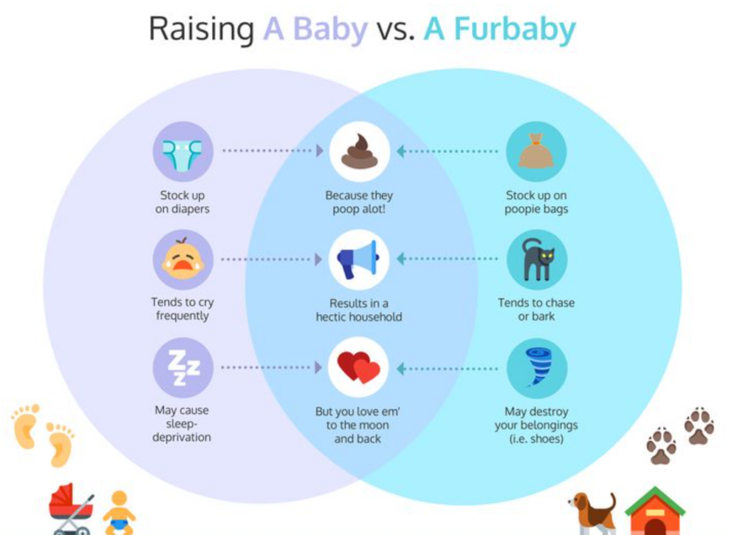 Comparison Infographics